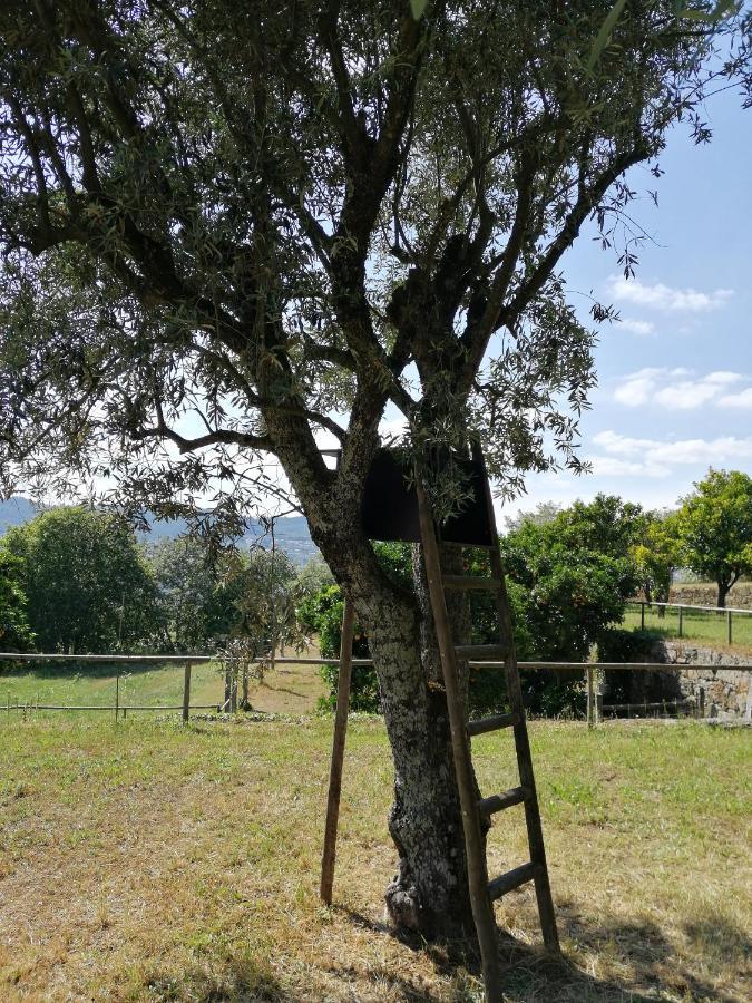 Вилла Quinta Do Santinho Амаранте Экстерьер фото